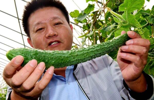 生鮮食材配送為什么大多不能與客戶建立長(zhǎng)期合作？